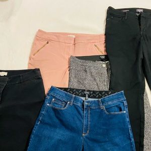 Panta size 14